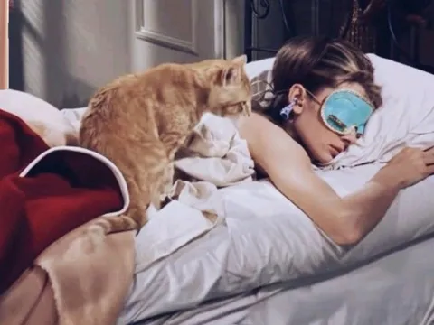 Bí quyết "hack tuổi" của giới siêu giàu: Mặc đồ ngủ gốm sinh học nuôi mộng trường sinh bất lão