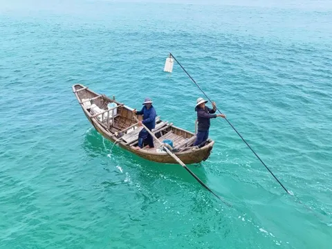 Ra khơi khai thác "lộc biển" từ 2 giờ sáng, ngư dân "đút túi" tiền triệu mỗi chuyến