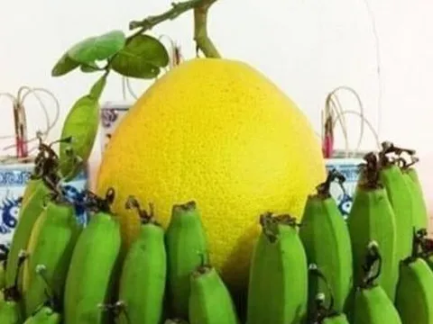 Cảnh báo đặc biệt tới các gia đình đang bày bưởi ngày Tết