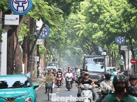 Việt Nam chuyển taxi chạy xăng dầu sang điện: Bài học, kinh nghiệm các nước thế nào?