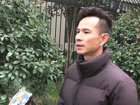 Xe Audi 1,6 tỷ đồng lao xuống ao, công ty bảo hiểm từ chối bồi thường với kết luận: “Có dấu hiệu chủ xe cố tình”