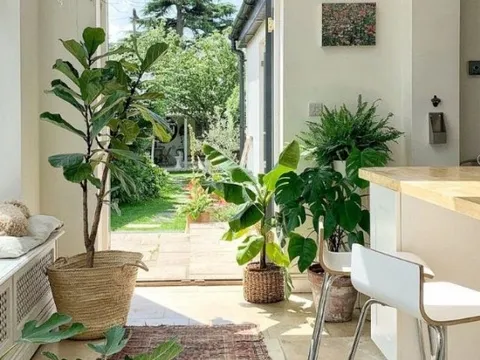 Ông bà nói: "Vận đến không ồn ào, nhưng sẽ có điềm báo" - 6 dấu hiệu cho biết nhà bạn có lộc trời ban