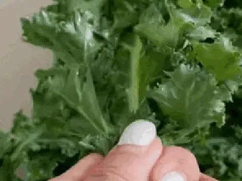 "Vua rau xanh" bán đầy chợ Việt, giàu chất xơ, càng ăn da càng đẹp, chị em đua nhau mua