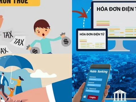 Cảnh báo loạt lỗi hộ kinh doanh, cá nhân kinh doanh thường mắc về đăng ký thuế, khai thuế và hóa đơn