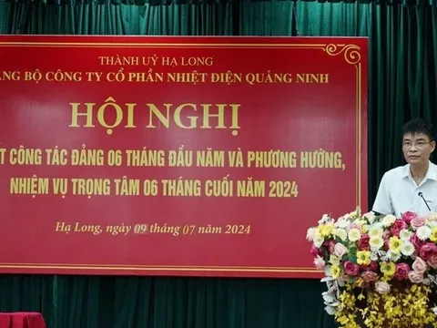 Vai trò của ông Lê Việt Cường tại Nhiệt điện Quảng Ninh trước khi bị khởi tố