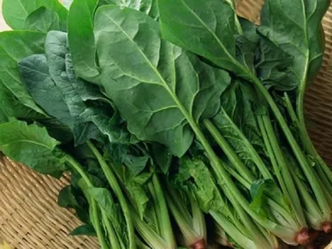 Tiểu thương chợ nói thật: 5 loại rau “đẹp long lanh” này tôi còn không dám ăn, nhiều người lại mua mỗi ngày