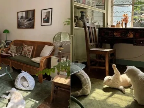 Cụ bà 73 tuổi không phiền con cháu, già đi lặng lẽ trong căn nhà cũ ở quê: Cuộc sống dịu dàng, chữa lành đến lạ