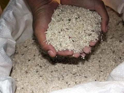 5 kiểu bảo quản gạo của người Việt làm tăng tốc độ hư hỏng, cơm không ngon mà còn dễ khiến cả nhà mắc bệnh