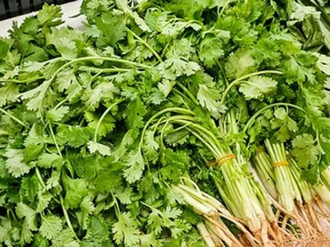 10 loại rau củ hoàn toàn KHÔNG cần phun thuốc trừ sâu vì quá ít bị sâu bọ, mua ngoài chợ cũng an tâm hơn