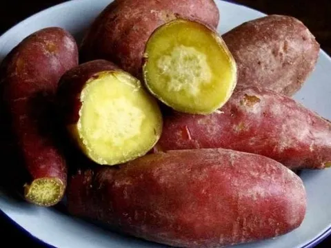 Ít ai ngờ khoai lang hấp lại tốt đến vậy: 5 lợi ích khiến món ăn này trở thành “chân ái” của nhiều người