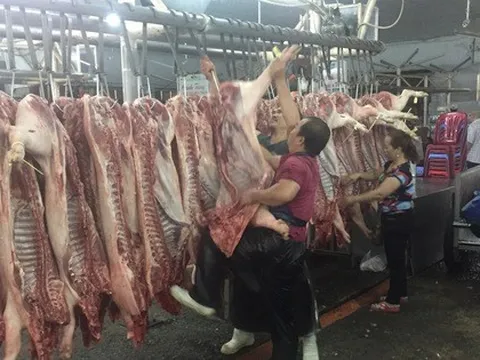 Giá heo hơi hôm nay, 10-3: Heo mảnh tại chợ đầu mối tiếp tục rớt mạnh