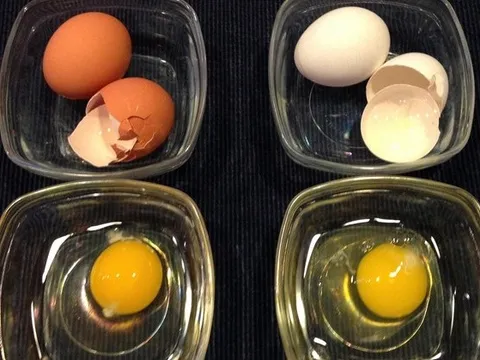 Trứng vỏ trắng hay vỏ nâu tốt hơn? Đáp án khiến nhiều người bất ngờ