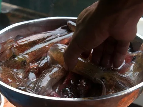 Đặc sản "ăn một lần, nhớ một đời" của tỉnh miền Trung: Chủ tịch tỉnh phải đăng lên Facebook