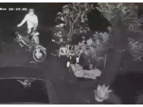 Vụ hiệu trưởng bị xe tải tông tử vong ở Tây Ninh: Đo nồng độ cồn những người liên quan