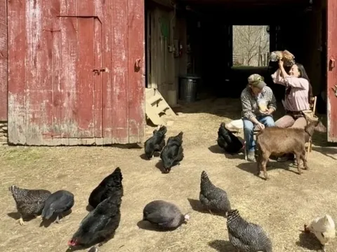 Cặp vợ chồng chi hơn 10,2 tỷ đồng mua mảnh đất 151.757m² để nghỉ hưu: “Chúng tôi chấp nhận vay thế chấp trong 30 năm”