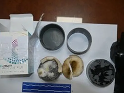 Có người rao bán "thiên thạch, đá hiếm" giá triệu USD, công an ứng dụng công nghệ cao vào cuộc