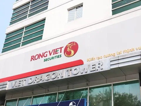 Kido Foods nâng sở hữu tại Chứng khoán Rồng Việt