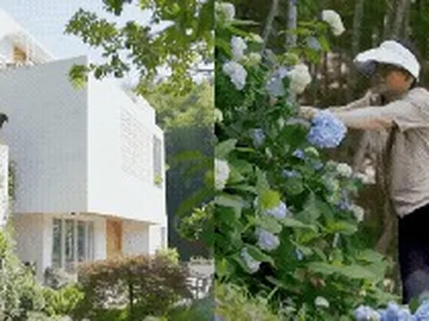 30 tuổi tự xây “nhà dưỡng lão” cho bố mẹ: Câu chuyện khiến nhiều người nghĩ lại về tiền bạc và tuổi già