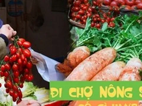 Đi chợ nông sản đâu chỉ mua rau, ấy là cuộc "đổi chác" lấy sinh khí mộc mạc, đủ sức chữa lành vạn bộn bề