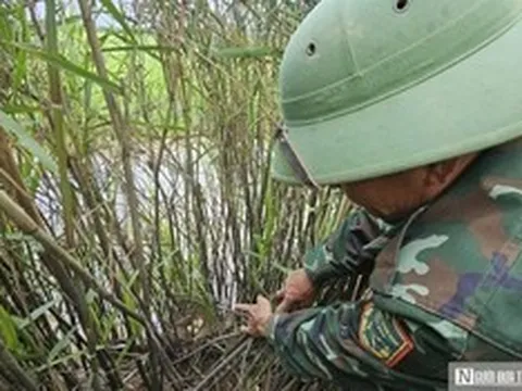 Chuyện về "lão nông" ở phá Hạc Hải - Kỳ 1: "Trả nợ" chim trời