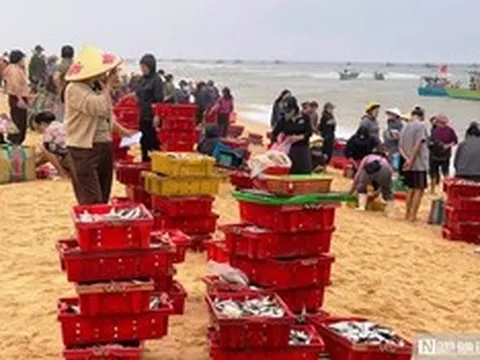 Rộn ràng cảnh mua bán “lộc biển” ngay tại bờ sau một đêm đánh bắt