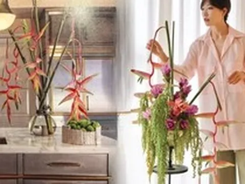 Bóc trần sự thật về loài hoa "Hồng Hạc" đang rần rần cõi mạng: Đẹp mộng mị nhưng đỏng đảnh khó chiều, lỡ mua rồi thì cắm sao cho sang?