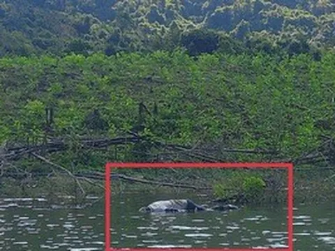 Gia Lai: Điều tra vụ người đàn ông chết chưa rõ nguyên nhân ở hồ Đá Trải