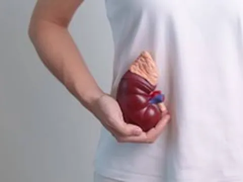 7 thói quen gây hại thận mỗi ngày