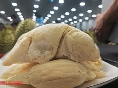 Sầu riêng Ri 6 Việt Nam áp đảo chợ châu Á ở Mỹ