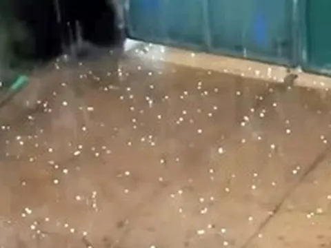 Hà Nội xuất hiện mưa đá