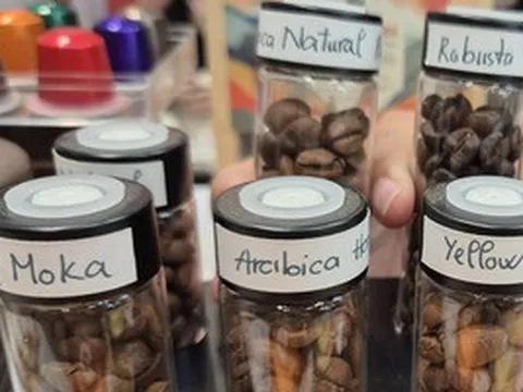 Giá cà phê hôm nay 29-3: Dự báo đáng chú ý