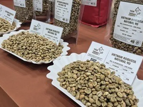 Giá cà phê hôm nay 31-3: Bị bán tháo mạnh ngay đầu tuần