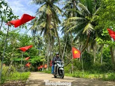Thích mê rừng dừa xanh mướt nơi xã đảo Tam Hải