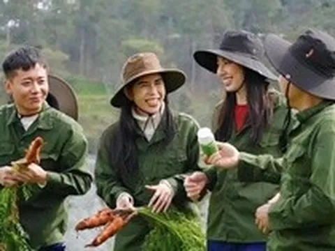 Cảnh báo khẩn: Danh sách 13 loại thực phẩm bổ sung là giả, người tiêu dùng cần kiểm tra ngay