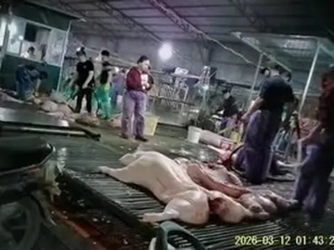 Bịt lỗ hổng quản lý thực phẩm