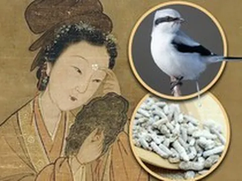 Mỹ nhân quyền lực nhất nhà Thanh dùng… thứ gây sốc để giữ gìn nhan sắc?