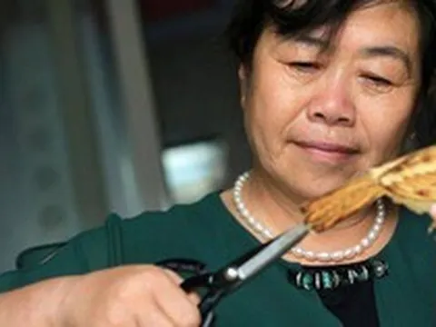 Sống chung sau tuổi 55: Khi 3,5 triệu/tháng không phải vấn đề lớn - mà là bài toán công bằng tài chính và giá trị bản thân