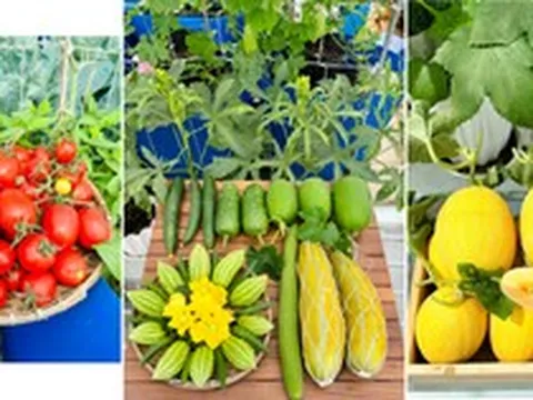 Sự thật về người phụ nữ Đồng Nai nhiều năm "không bước chân ra chợ", bí mật nằm ở tầng 3