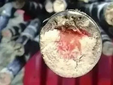 Loại thức ăn này độc hơn cả rắn vào dịp Tết Thanh Minh!