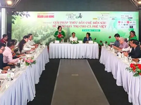 Đã đến lúc nâng hạng cà phê Việt