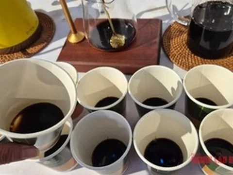 Giá cà phê hôm nay 6-4: Xu hướng sắp tới