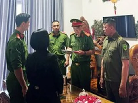 1 chủ hộ kinh doanh bị khởi tố vì buôn bán gỗ có doanh thu 143 tỷ đồng nhưng chỉ nộp thuế 900k