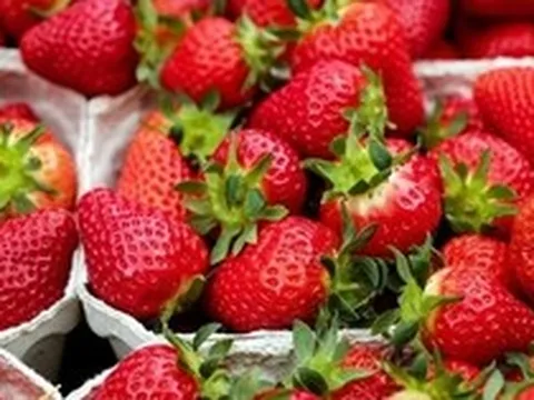 Danh sách "12 loại trái cây và rau củ bẩn nhất năm 2026" đã được công bố! Đứng đầu là loại rau rất giàu sắt, dâu tây cũng góp mặt