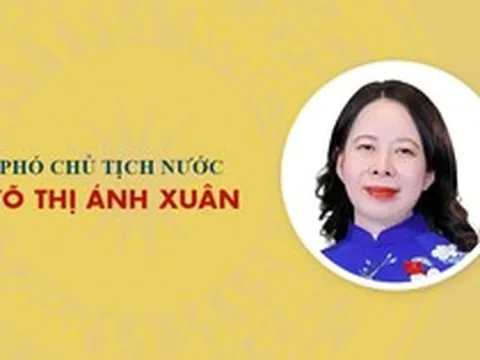Sự nghiệp Phó Chủ tịch nước Võ Thị Ánh Xuân