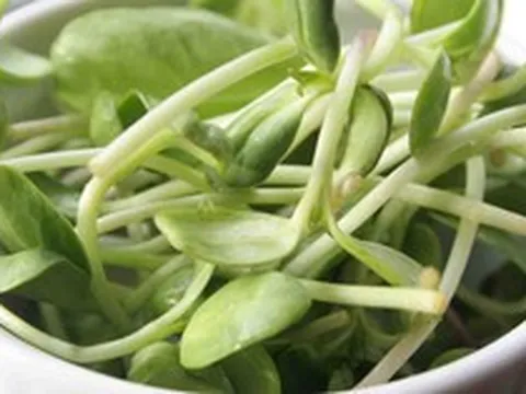 3 loại rau người Việt nên trồng trong nhà: Dễ chăm, nhanh thu hoạch, tốt cho sức khỏe