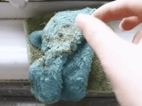 Nhà trông rất sạch nhưng 6 thứ này đang sinh vi khuẩn 24/7 mà bạn không hề biết