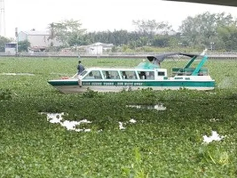 Một người nhảy cầu ở Tây Ninh, để lại xe máy và 2 điện thoại