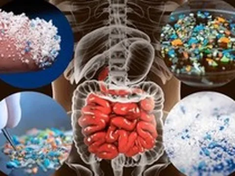 Vật này trong nhà là "ổ VI NHỰA", càng dùng càng rước bệnh!