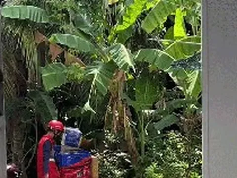 Shipper thái độ ra mặt, liệng gói hàng đánh bộp: Cả trăm lời khuyên rate 1 sao nhưng khách không dám