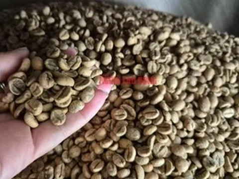 Giá cà phê ngày 10-4: Robusta và Arabica cùng giảm